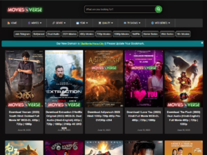 TheMoviesflix & TheMoviesVerse WordPress Theme v2.5 2 movie downloading website theme
