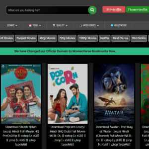 TheMoviesflix & TheMoviesVerse WordPress Theme v2.5