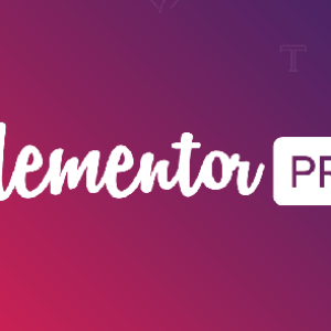 Elementor Pro Free Download 4.1.1